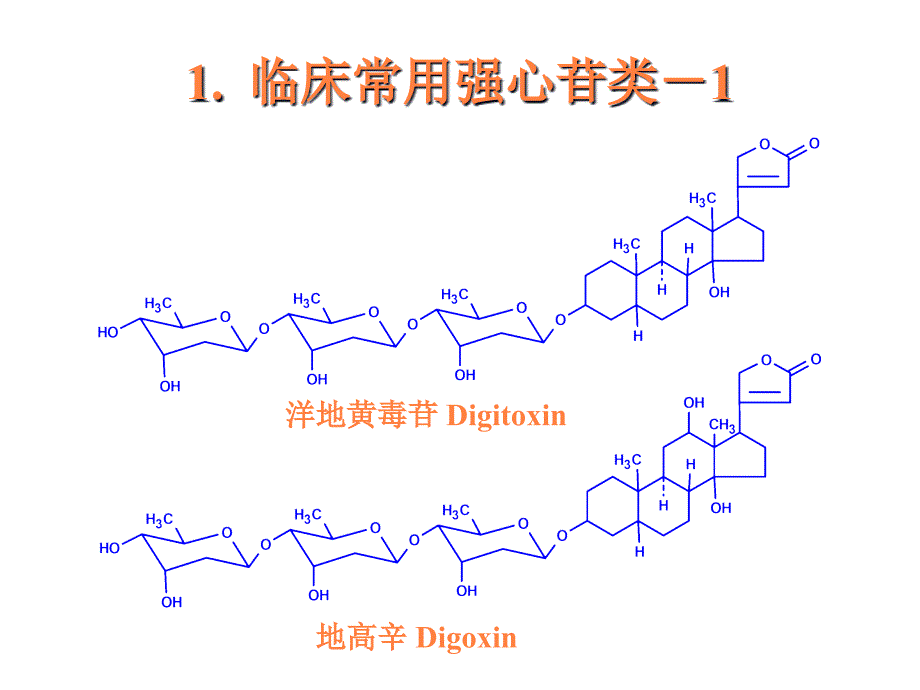 课件：心血管系统药物第四节强心药_第4页