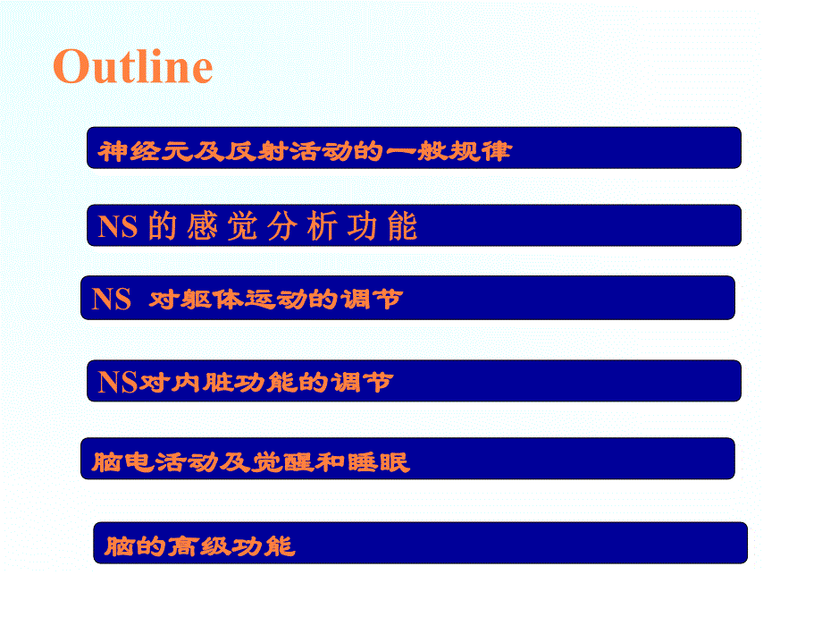 课件：神经系统的功能 (2)_第2页