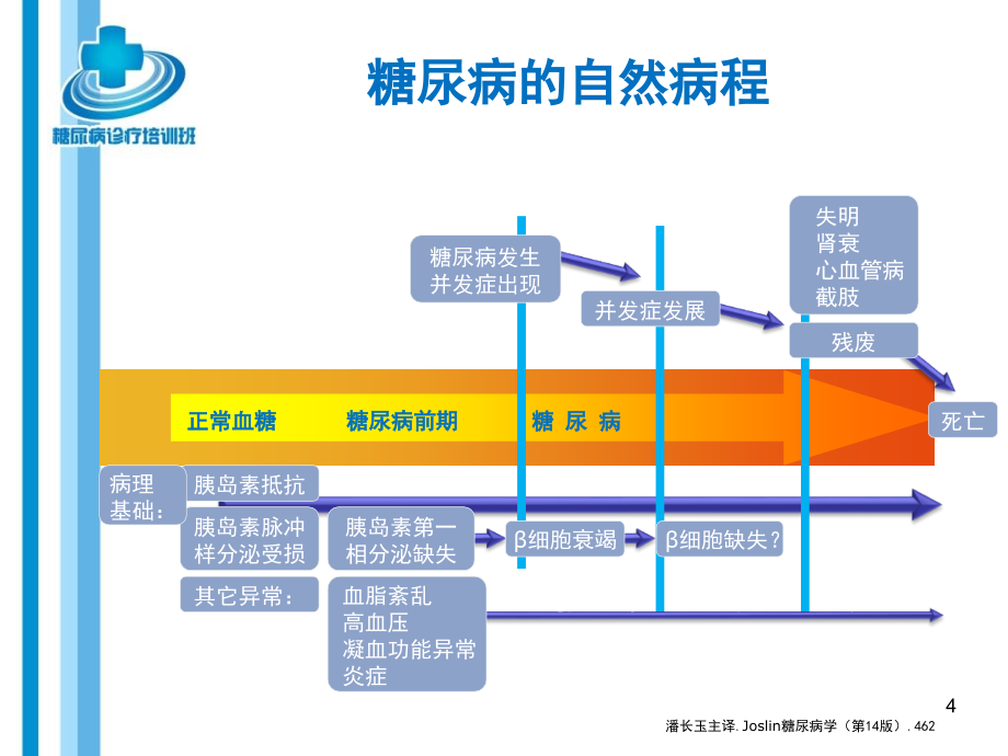 课件：糖尿病诊断与治疗_第4页