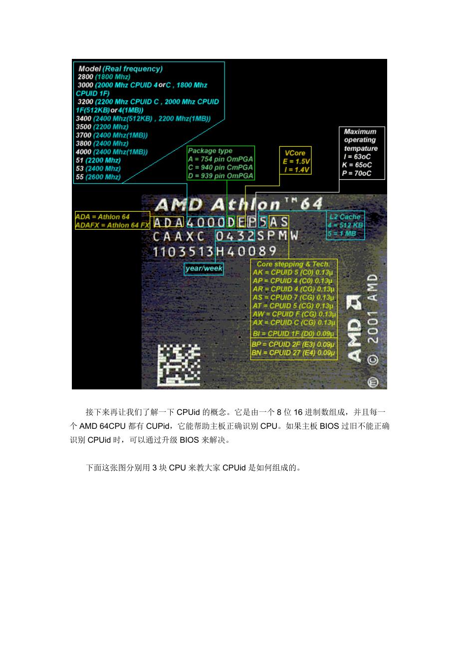 解读amd64位处理器编号和cpuid_第2页