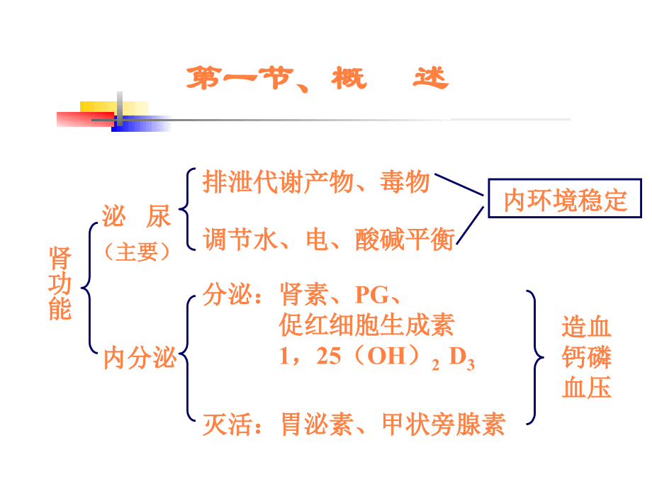 课件：医本肾功能不全新_第3页