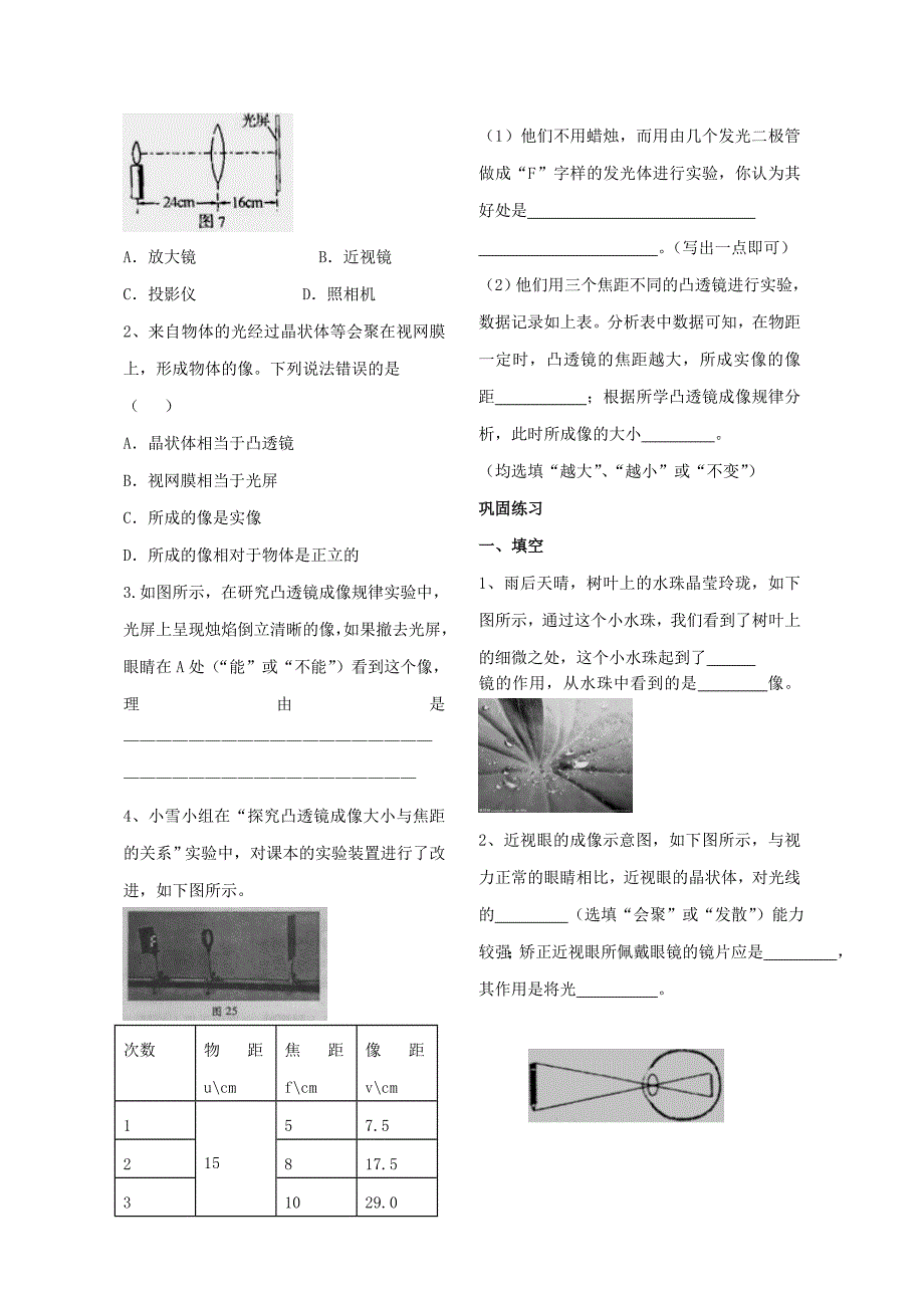 2013年中考物理第一轮复习 第三章 透镜及其应用_第3页