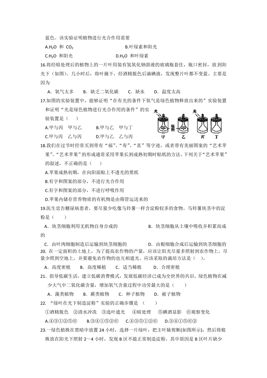 1. 1 绿色植物的光合作用 每课一练（鲁科版七年级上）.doc_第3页