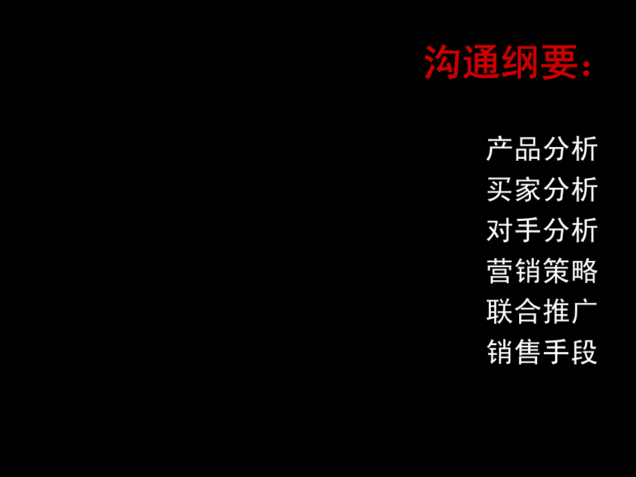 专业市场-滨州-浙江大市场项目全程营销策划-147页_第2页