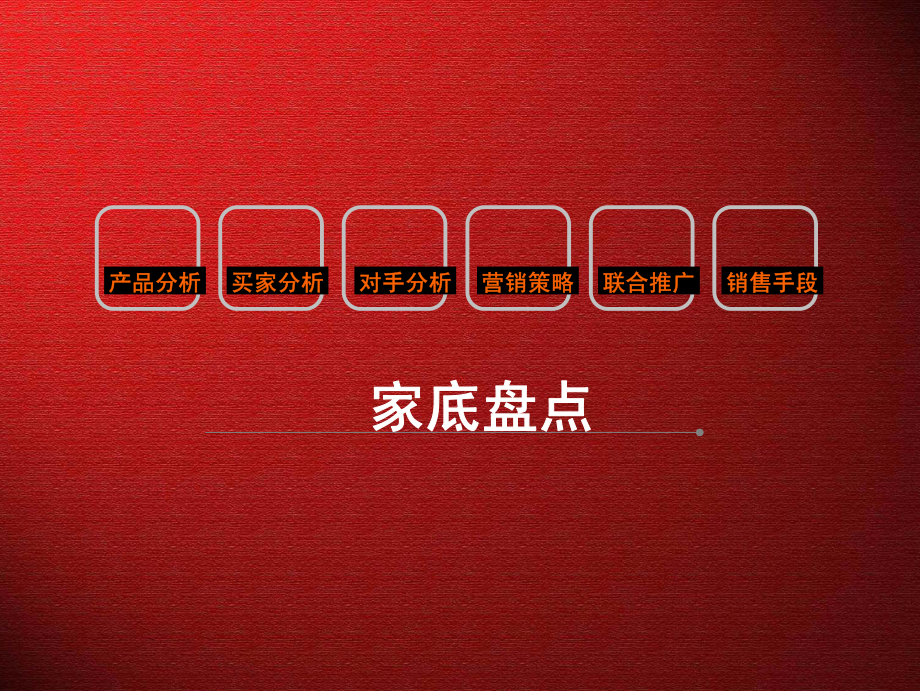 专业市场-滨州-浙江大市场项目全程营销策划-147页_第3页