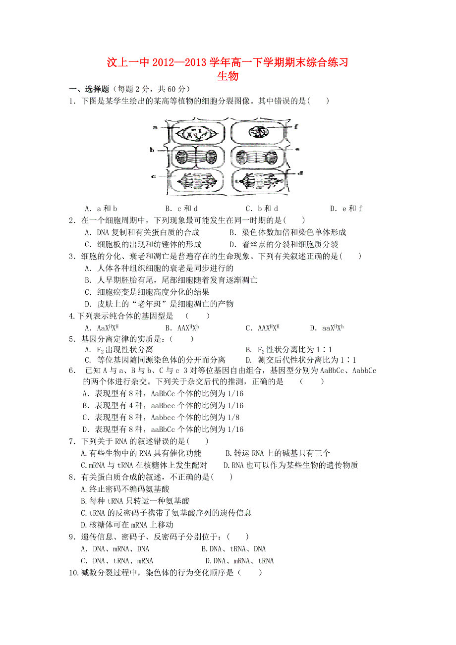 山东省济宁市汶上一中2012-2013学年高一生物下学期期末综合练习试题新人教版_第1页