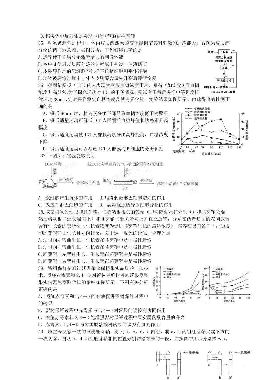 山东省聊城市莘县2012-2013学年高二生物上学期期中考试试题新人教版_第5页