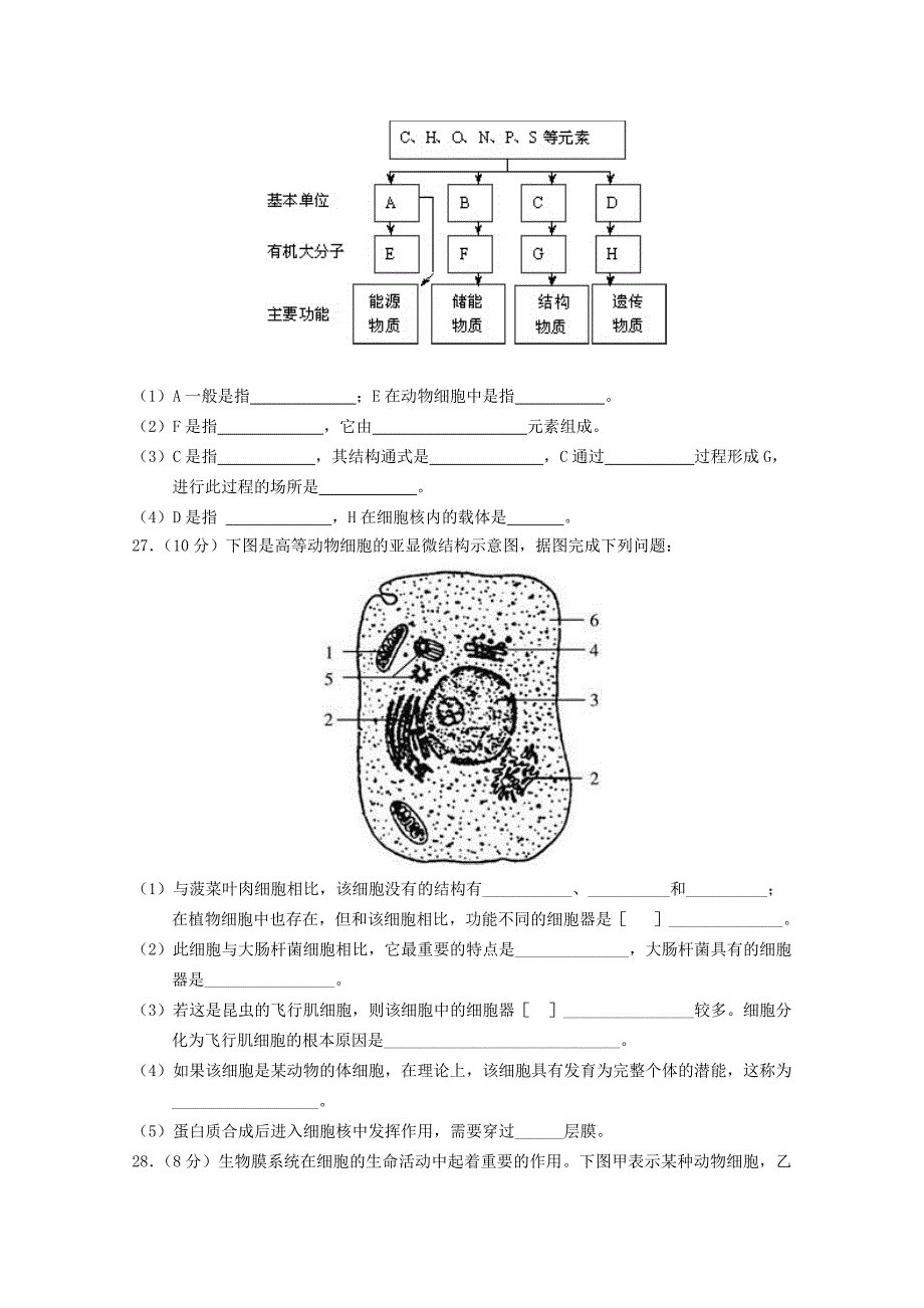 山东省济南市2012-2013学年高一生物上学期期末考试试题中图版_第4页