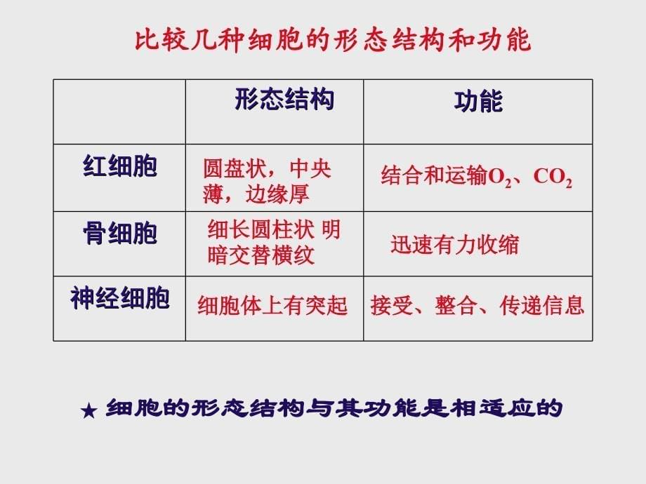 1.1.6人体是怎样构成的 课件 上海版生命科学八年级上册.ppt_第5页