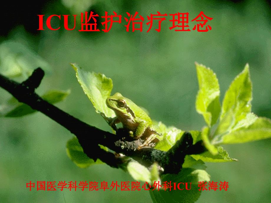 icu理念_第1页