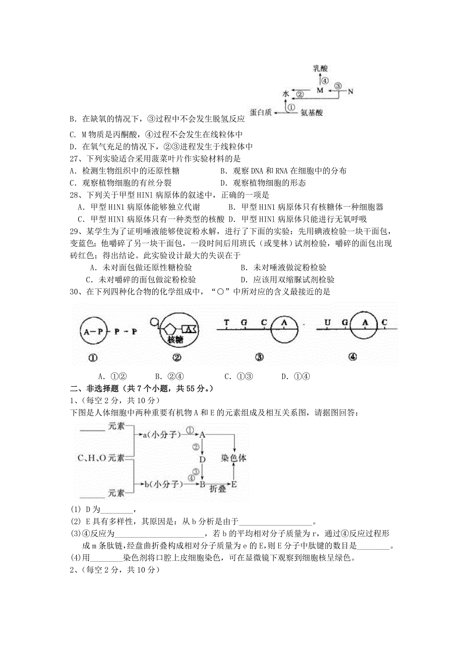 山东2013届高三生物12月考试新人教版_第4页