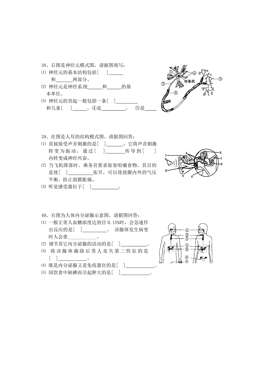 山东省东营市河口区实验学校2012-2013学年八年级生物下册 第五章《人体生命活动的调节》测试题（无答案） 新人教版_第4页