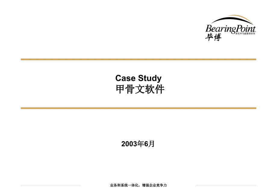 毕博—浦东软件园中长期发展战略及规划case study_第1页