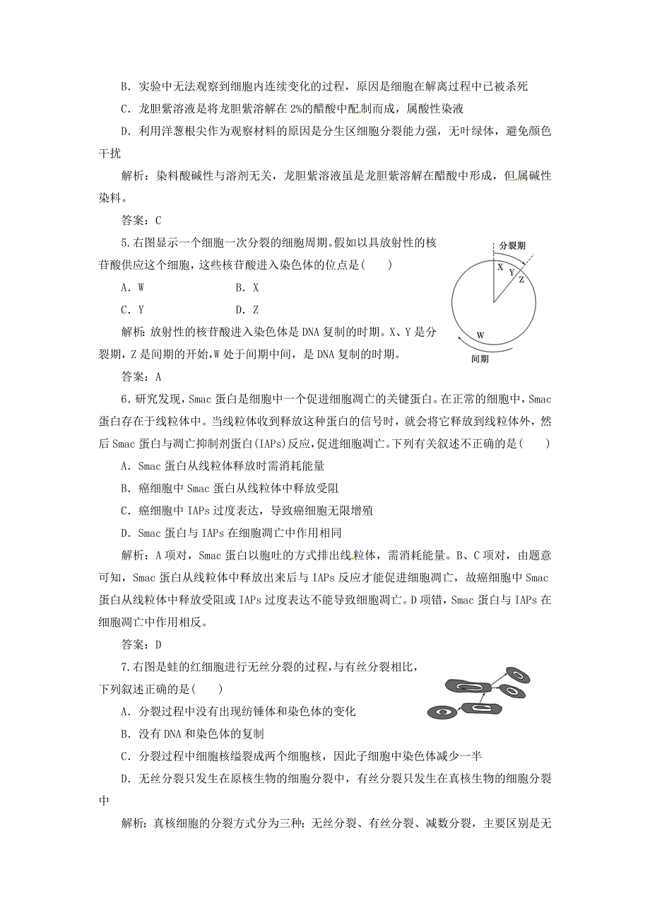 2013高中生物 第6章细胞的生命历程阶段质量检测（四） 新人教版必修1_第2页