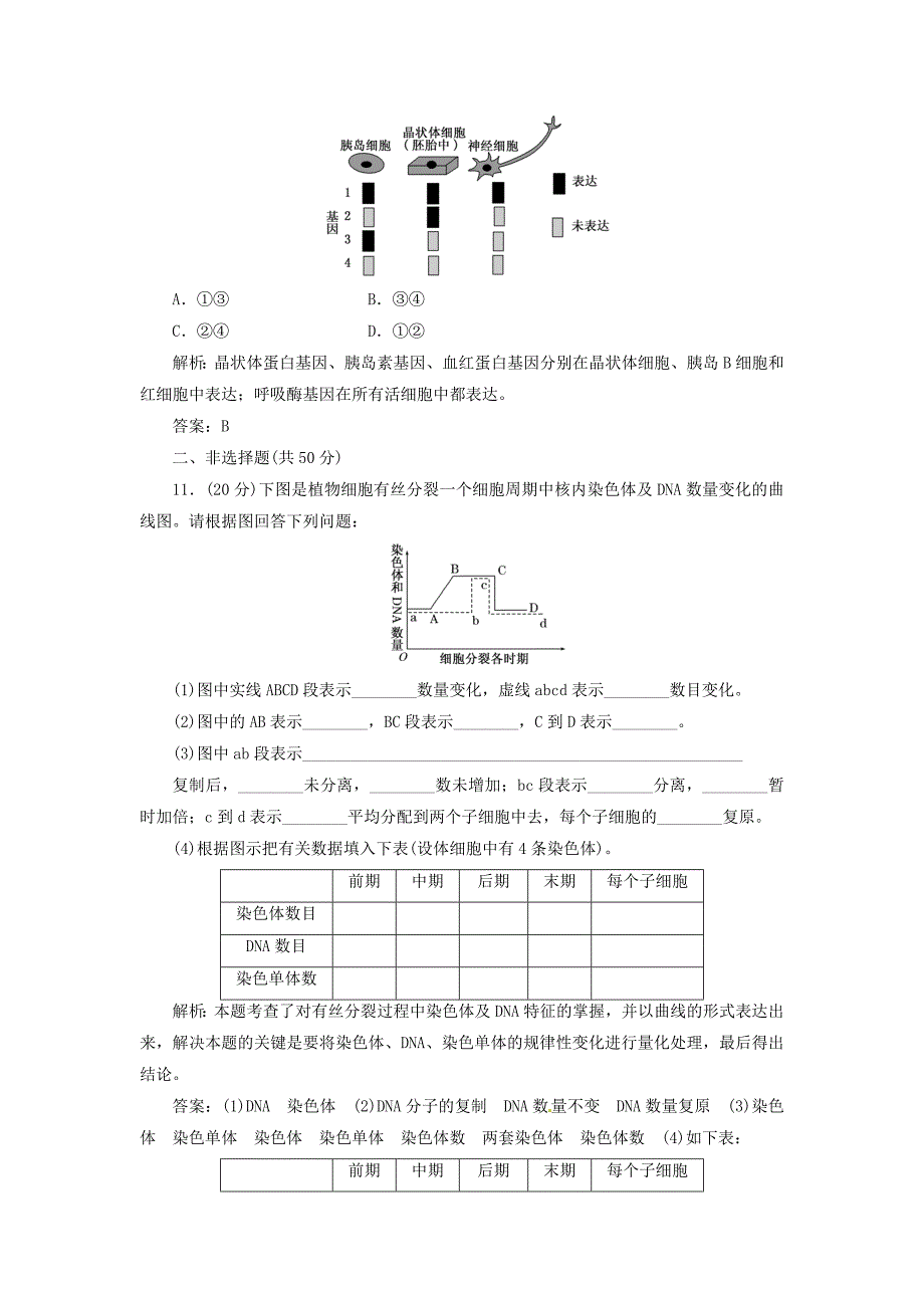 2013高中生物 第6章细胞的生命历程阶段质量检测（四） 新人教版必修1_第4页