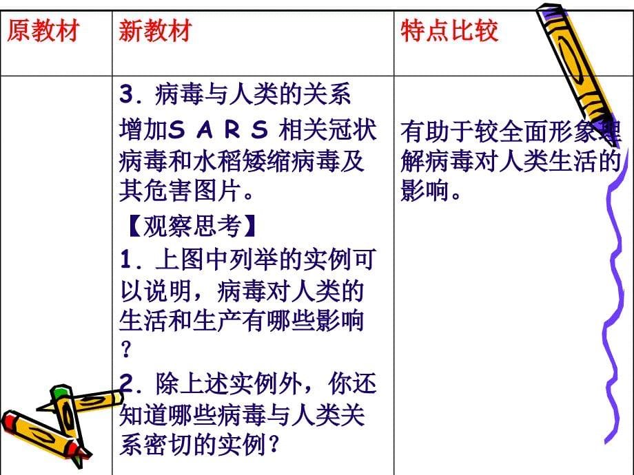 1. 3 单元综合 课件（鲁科版七年级上册） .ppt_第5页