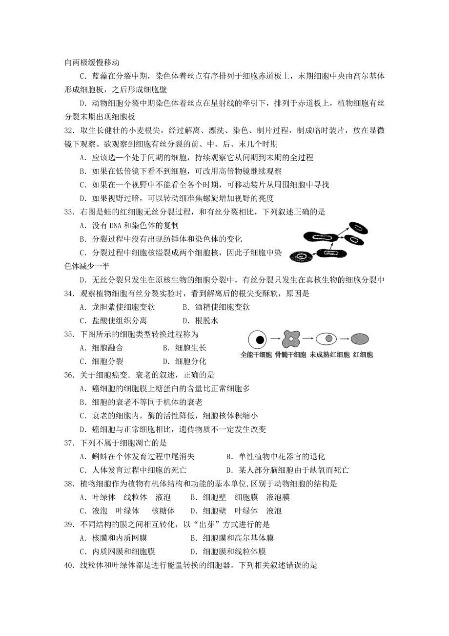 山东省临沂市2012-2013学年高一生物上学期期末考试新人教版_第5页