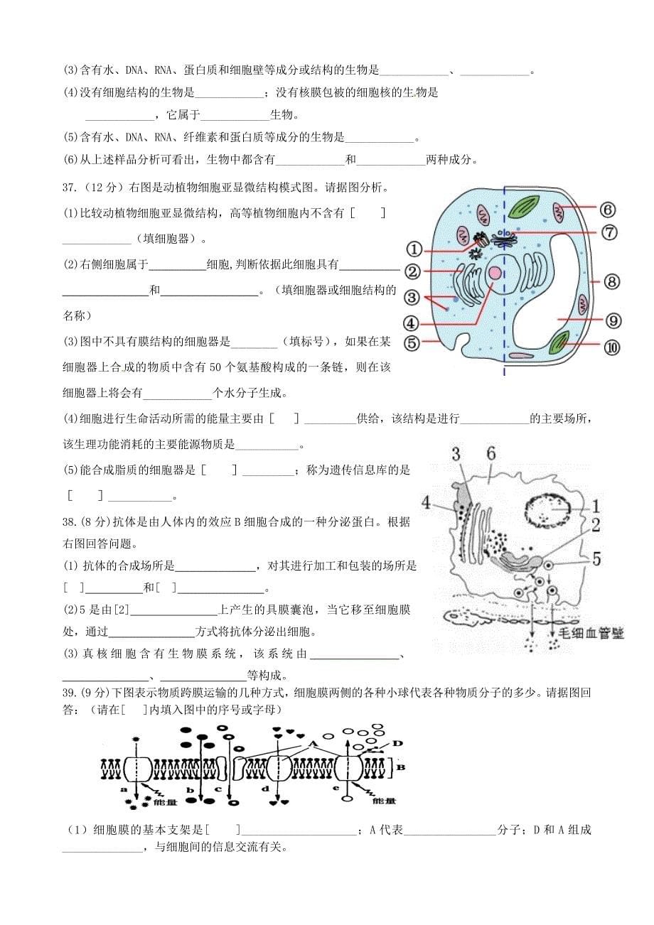 福建省连江县尚德中学2015-2016学年高一生物上学期12月月考试题_第5页