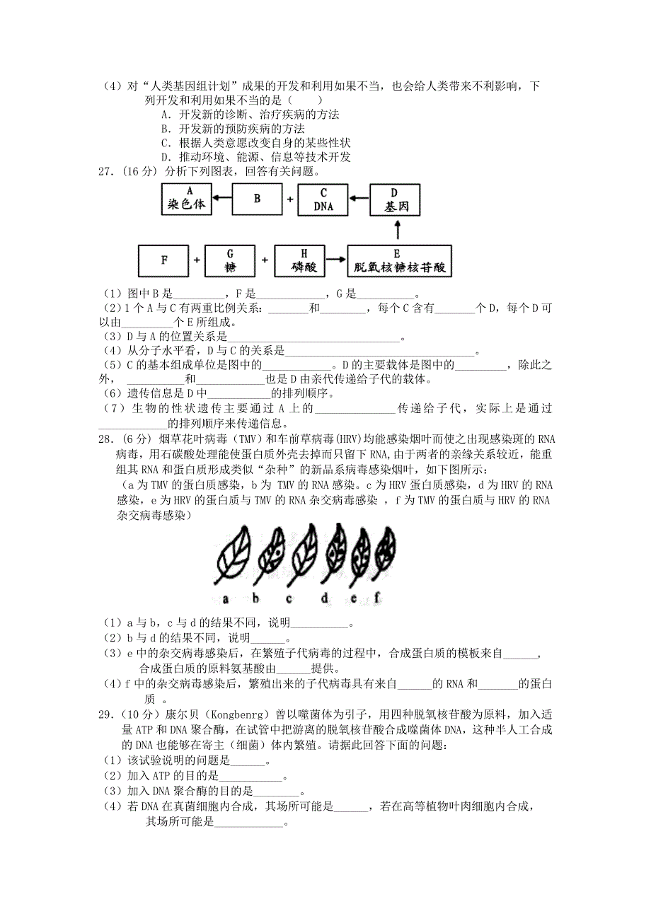 安徽省蚌埠五中2013届高三生物一轮测试 第3章基因的本质单元练习 必修2_第3页