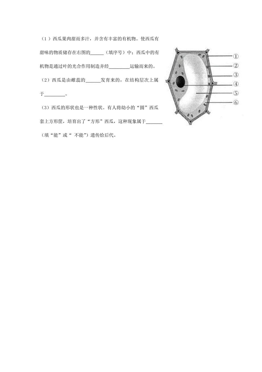 山东省邹坞镇第一中学八年级生物结业模拟生物试题_第5页