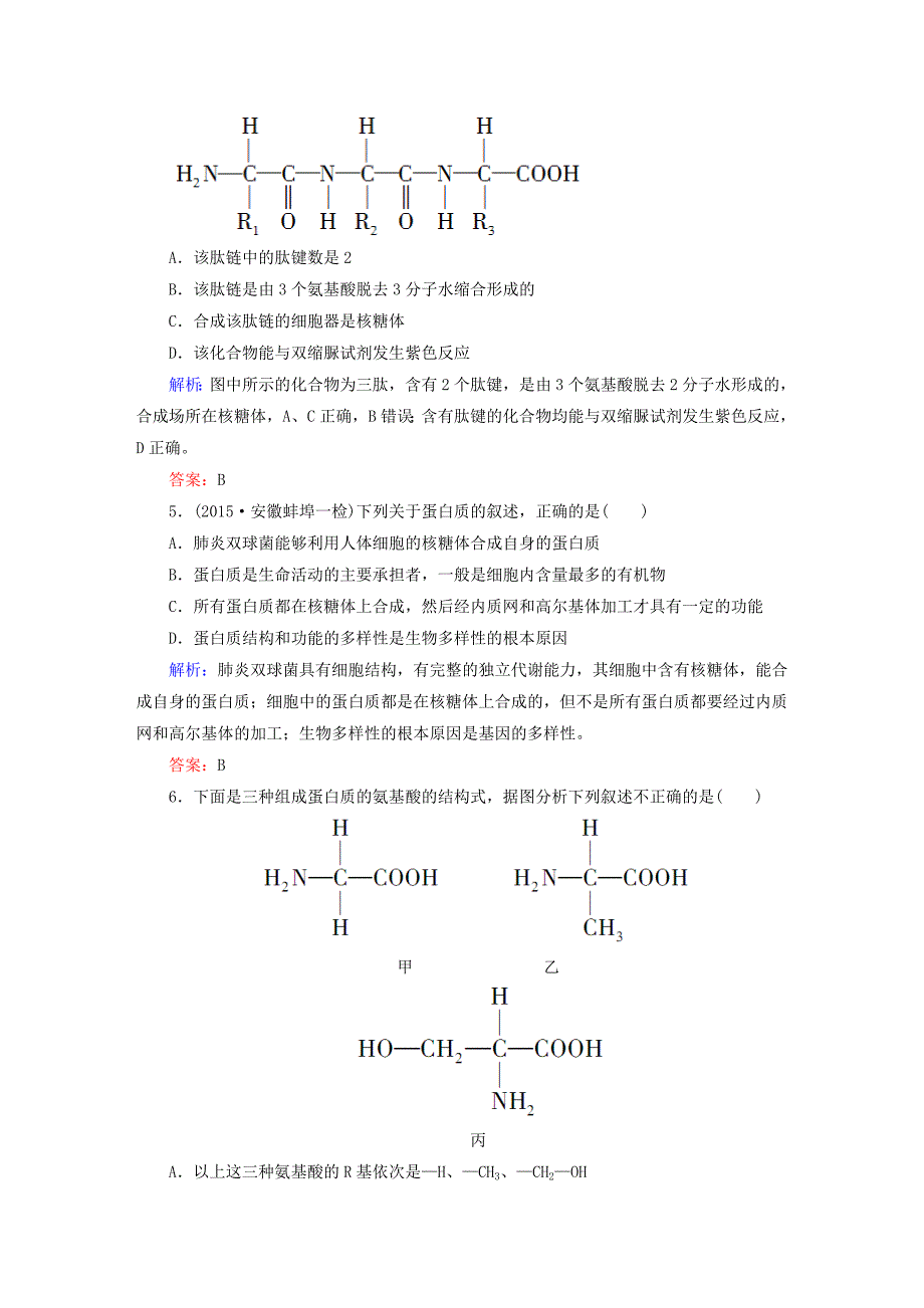 讲与练2016年高三生物总复习 第二章 生命活动的主要承担者-蛋白质章节测试 新人教版必修1_第2页
