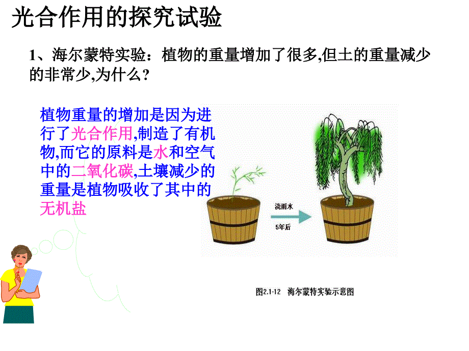 1. 2 绿色植物的光合作用 课件（鲁科版七年级上）.ppt_第4页