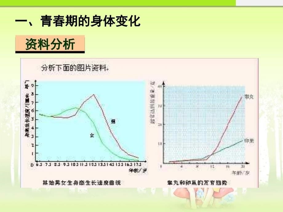 1.3 青春期 课件 (7).ppt_第5页