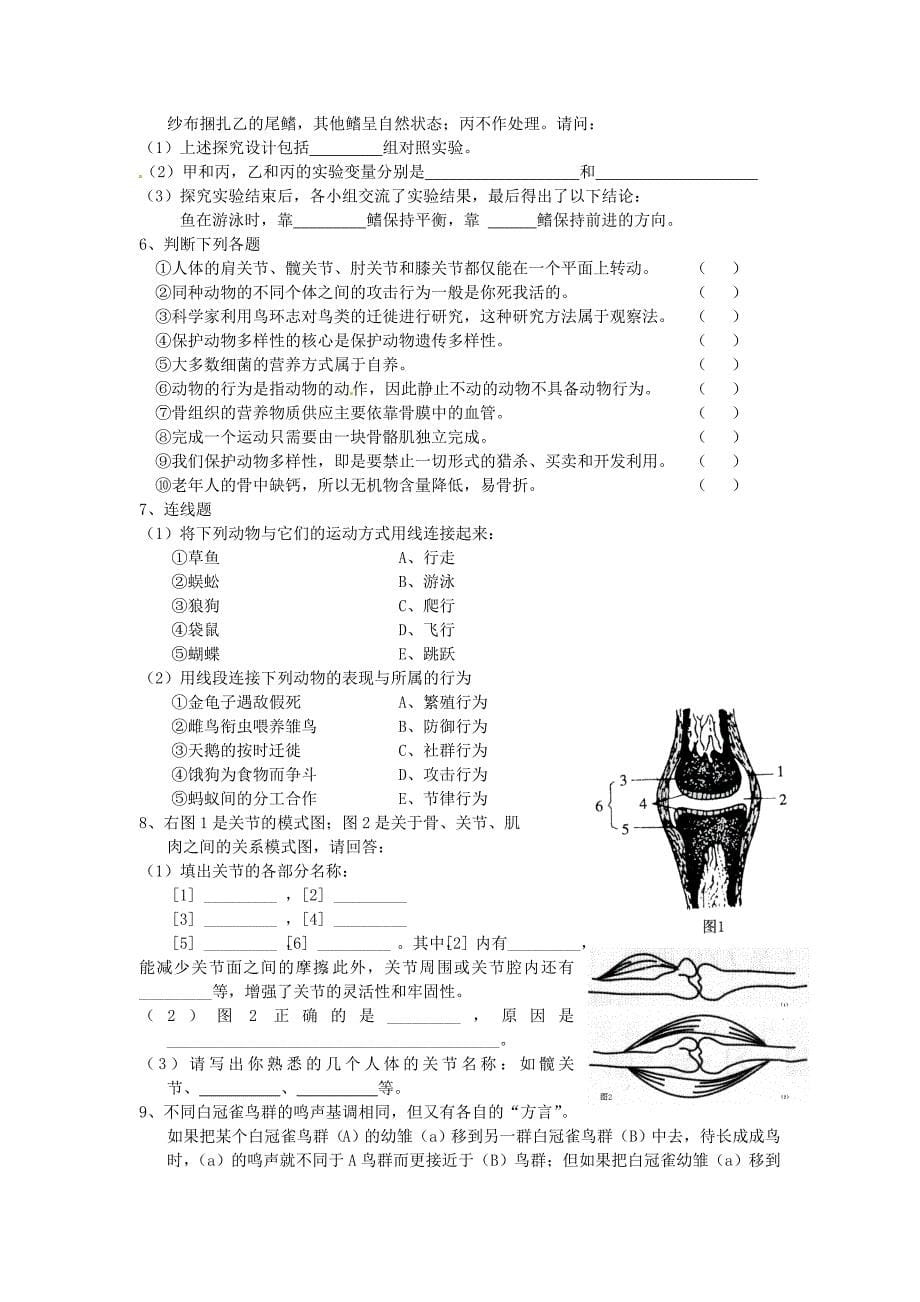 河南省开封十七中八年级生物上册《第五单元 生物圈中的动物和微生物》测试题 北师大版_第5页