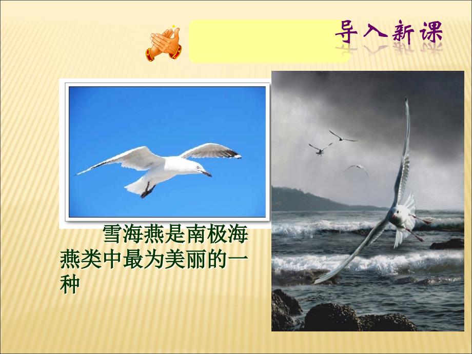 1.3《海燕》课件 冀教版九年级上册 (6).ppt_第1页