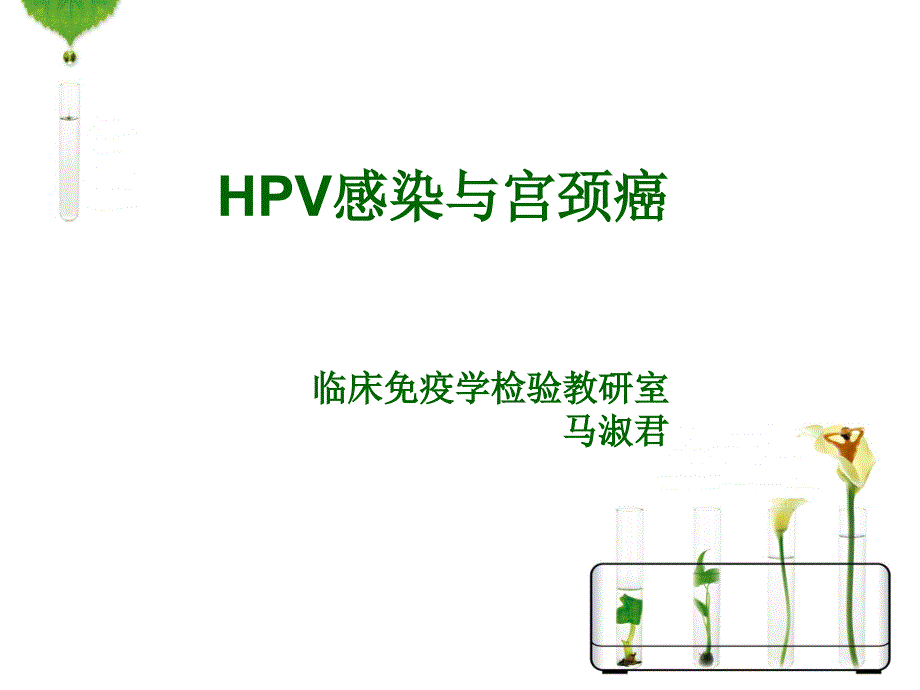 hpv感染与宫颈癌 课件_第1页