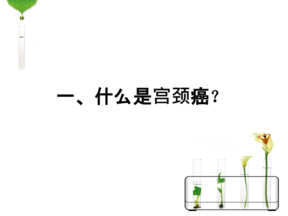 hpv感染与宫颈癌 课件_第4页