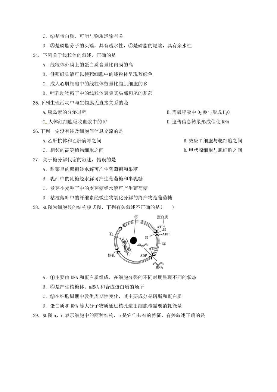 河南省林州市2016-2017学年高二生物5月调研考试试题_第5页