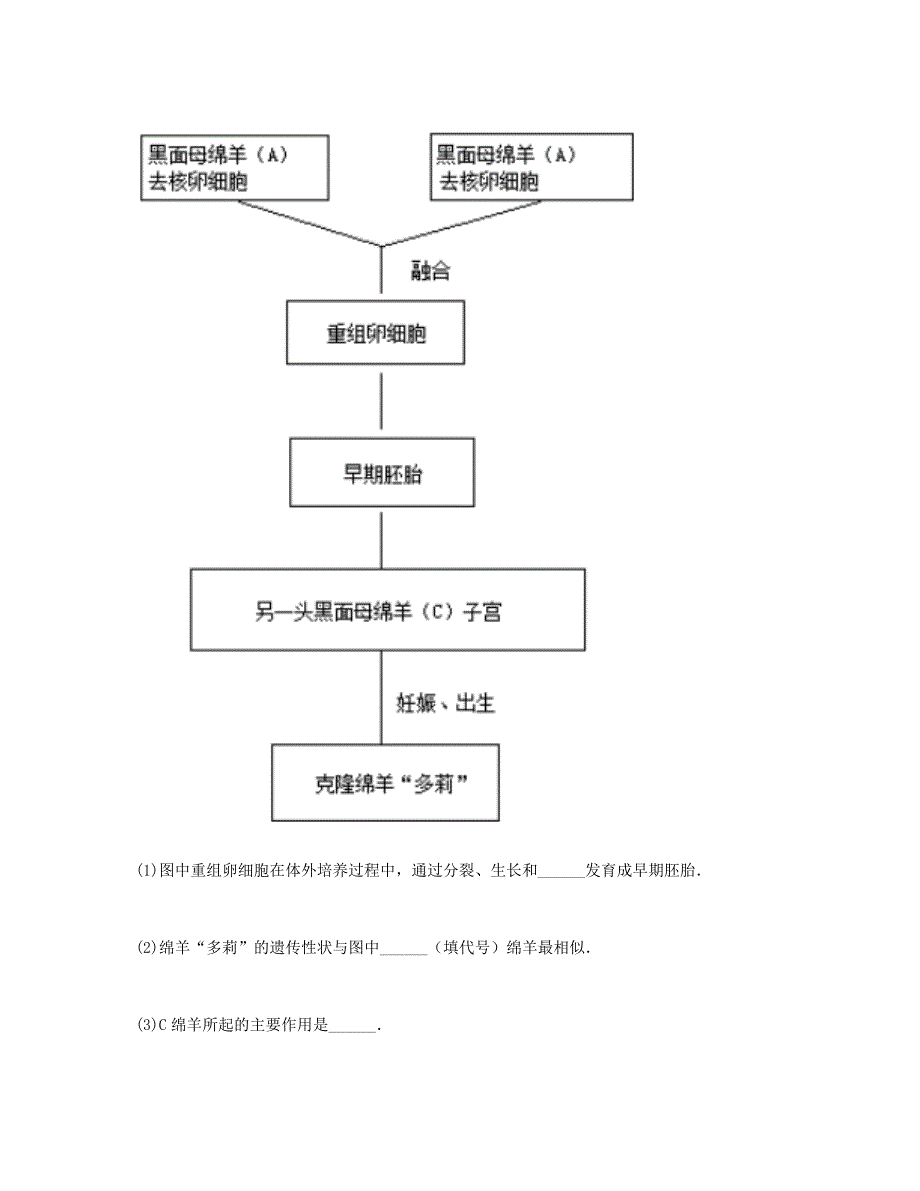 河南省永城市七年级生物上册 第二单元 第一章 第四节《细胞的生活》拔高提升（新版）新人教版_第2页