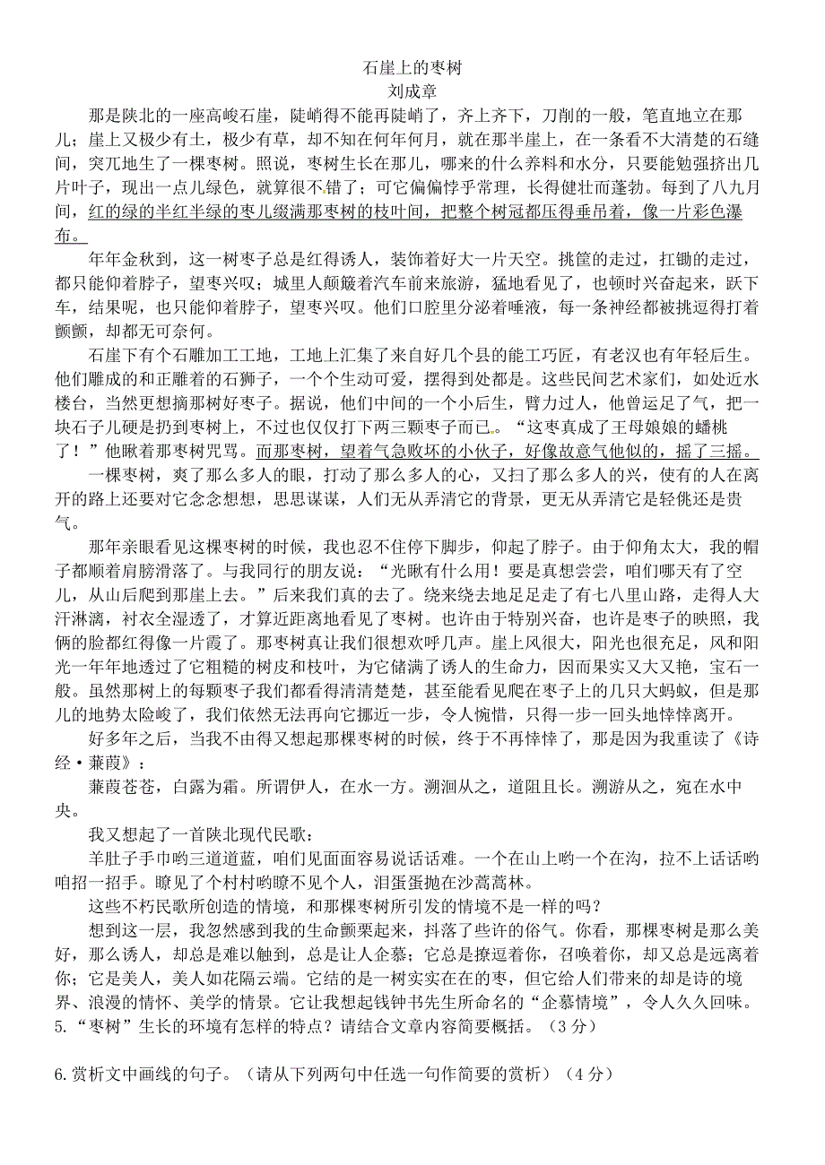 安徽省蚌埠市经济开发区2018届九年级语文上学期期中试题 新人教版_第2页