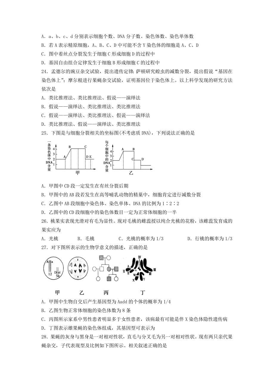 河南省唐河县第一高级中学2012-2013学年高一生物下学期第五次月考试题_第5页
