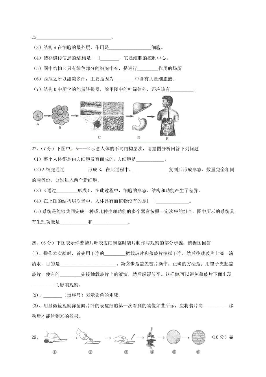 山东省滨州市博兴县2017-2018学年七年级生物上学期期中试题 济南版_第5页