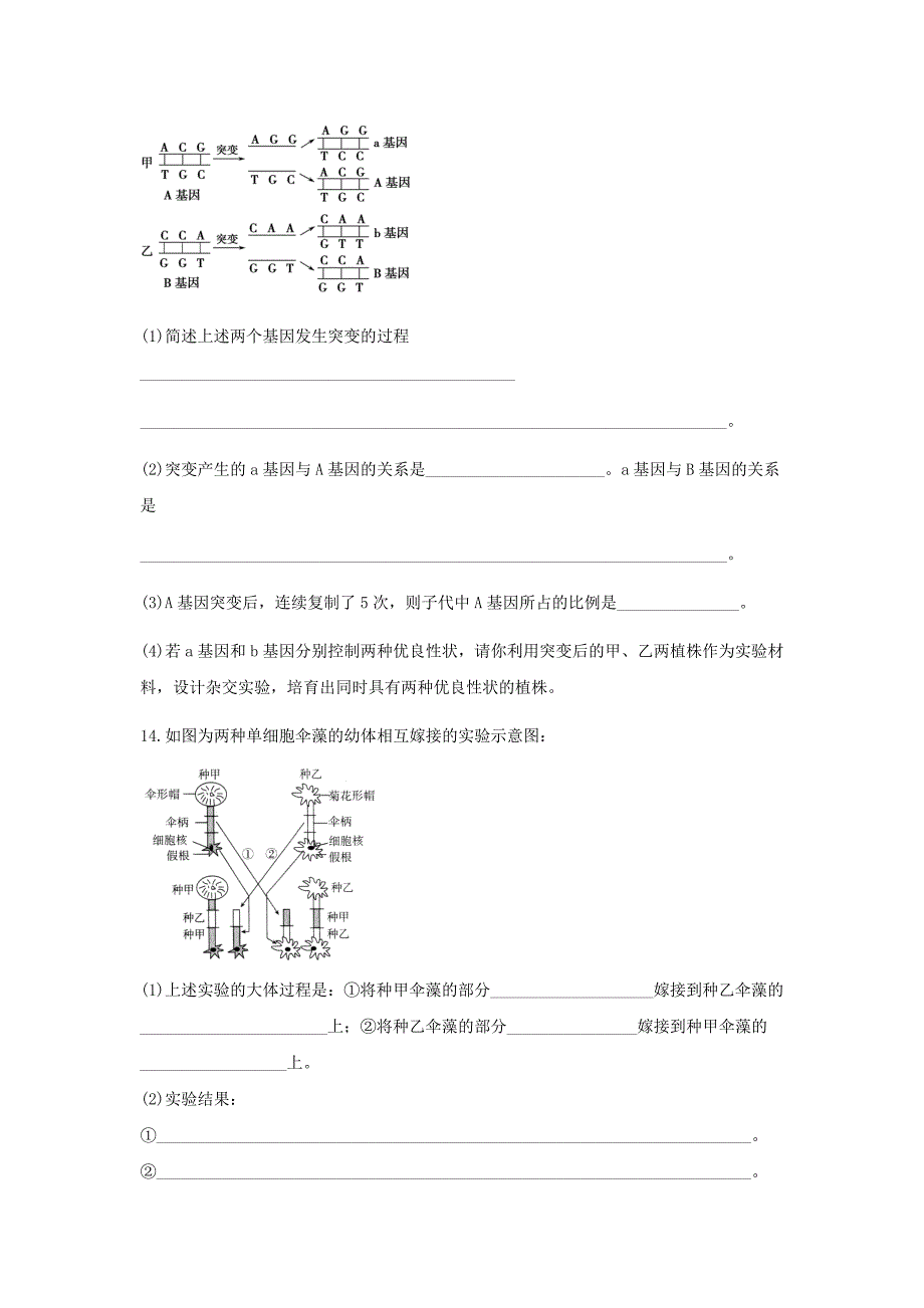 河南省漯河市实验高中2012届高三生物上学期期末复习题（三）_第4页