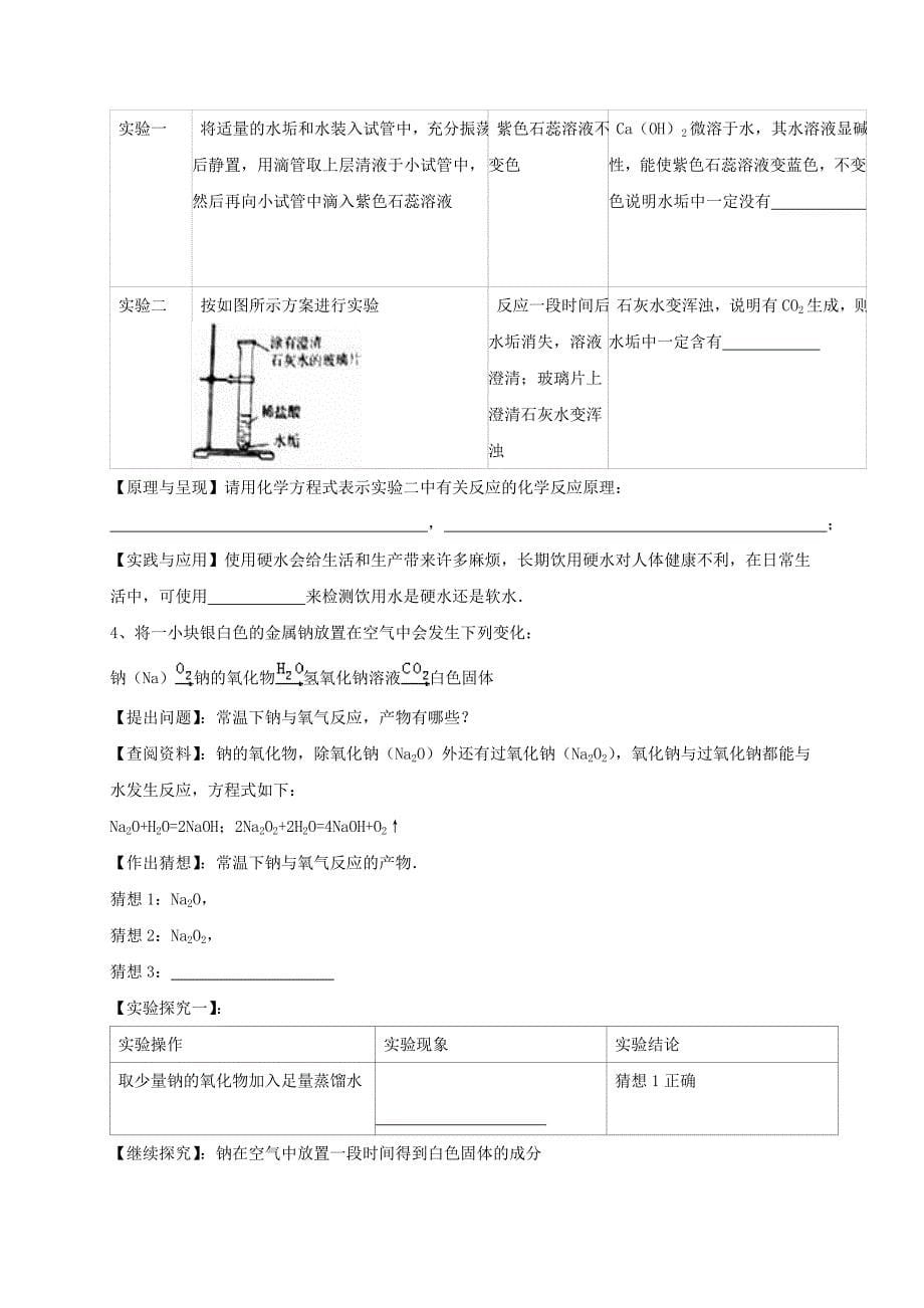 山东省临沂市2017年中考化学二轮专题复习 专题 科学探究（一）_第5页