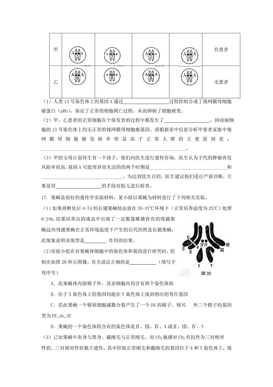 山东省高考生物 第一单元 遗传与变异的细胞学基础单元测试9 中图版必修1_第4页