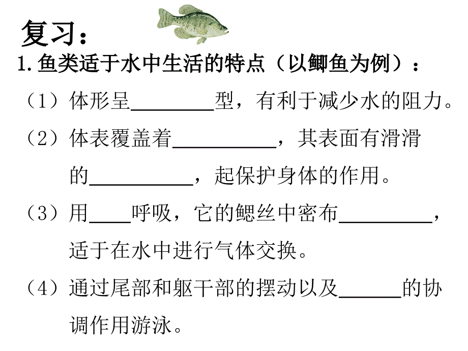 1.5 两栖动物和爬行动物（第一课时） 课件 （新人教版八年级上）.ppt_第2页