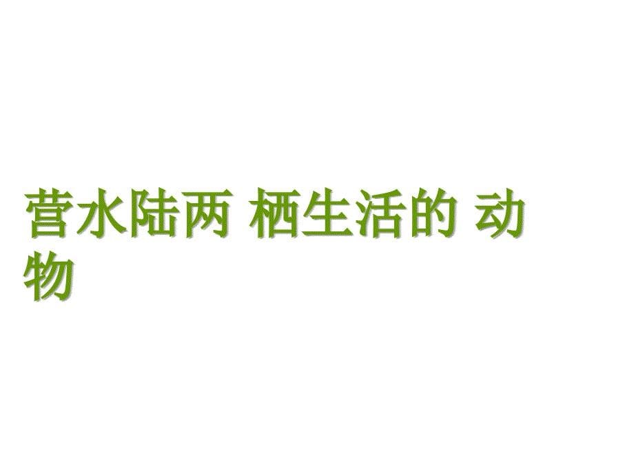 1.5 两栖动物和爬行动物（第一课时） 课件 （新人教版八年级上）.ppt_第5页