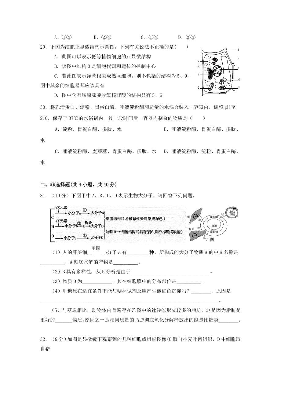 湖北省宜昌市2017-2018学年高一生物上学期第三次月考试题_第5页