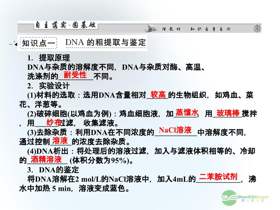 2013届高考生物一轮复习 第5课时dna和蛋白质技术课件 新人教版选修1_第2页