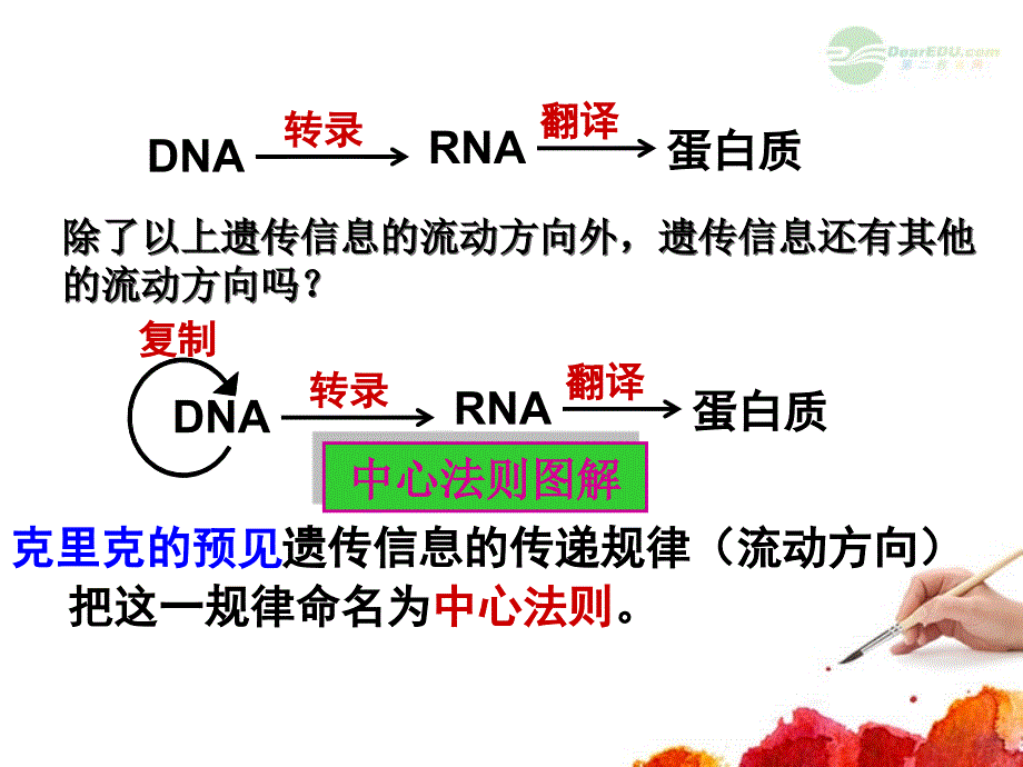 内蒙古自治区赤峰市元宝山区二中高二生物 第二节基因对性状的控制课件_第3页