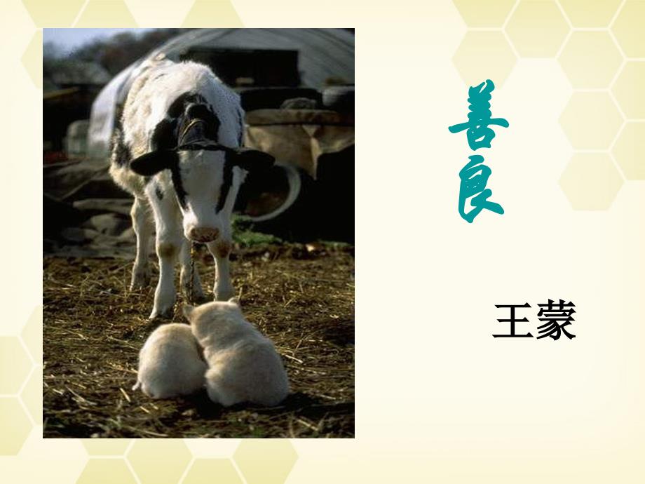 粤教版语文必修4《善良》ppt课件_第1页