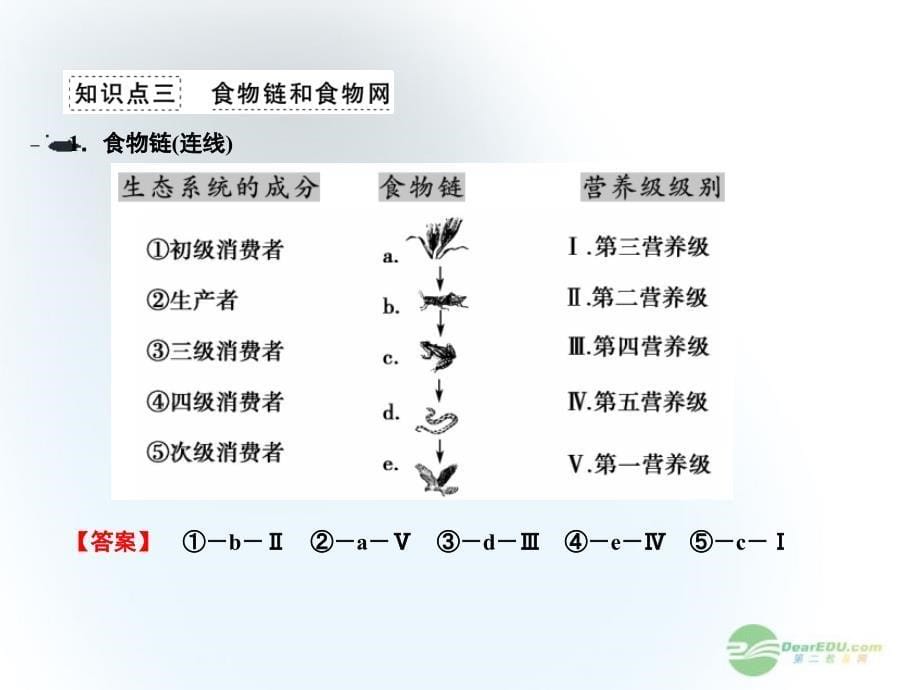 2013届高考生物一轮复习 第5、6章第1课时生态系统的结构课件 新人教版必修3_第5页