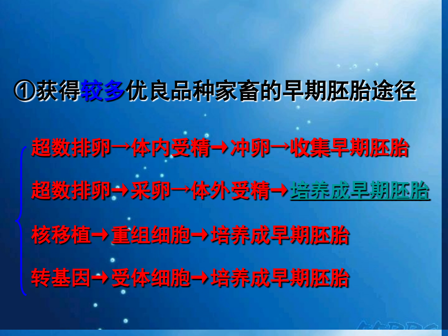 江苏省海头高级中学2018届高三生物 专题5《生态工程》复习课件 新人教版_第1页