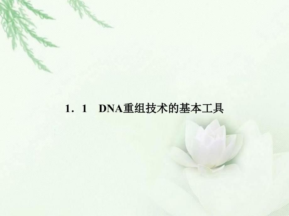 2013年高中生物 1-1dna重组技术的基本工具同步课件 新人教版选修3_第2页