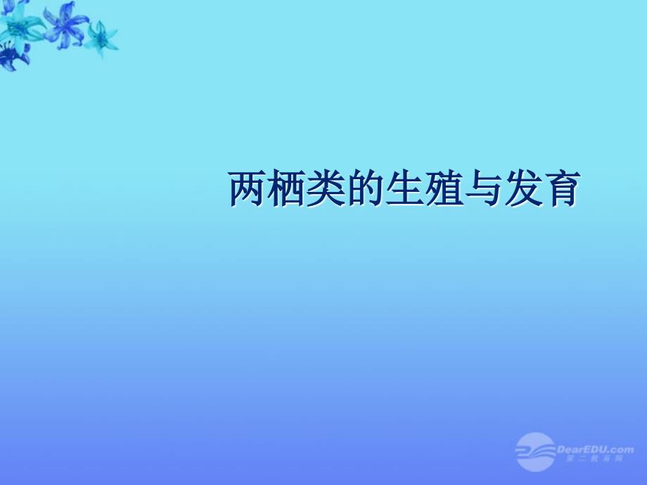 八年级生物上册 两栖类的生殖与发育课件1 苏教版_第1页