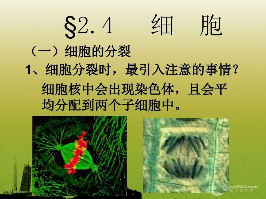 七年级科学上册《细胞》课件4 浙教版_第5页